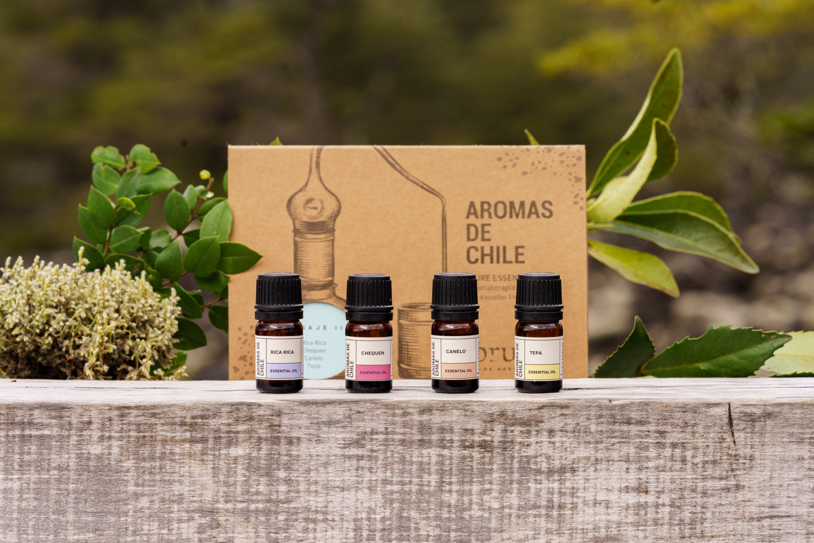 Alma Flora: Aromaterapia - Aceites Esenciales y Cosmética Natural